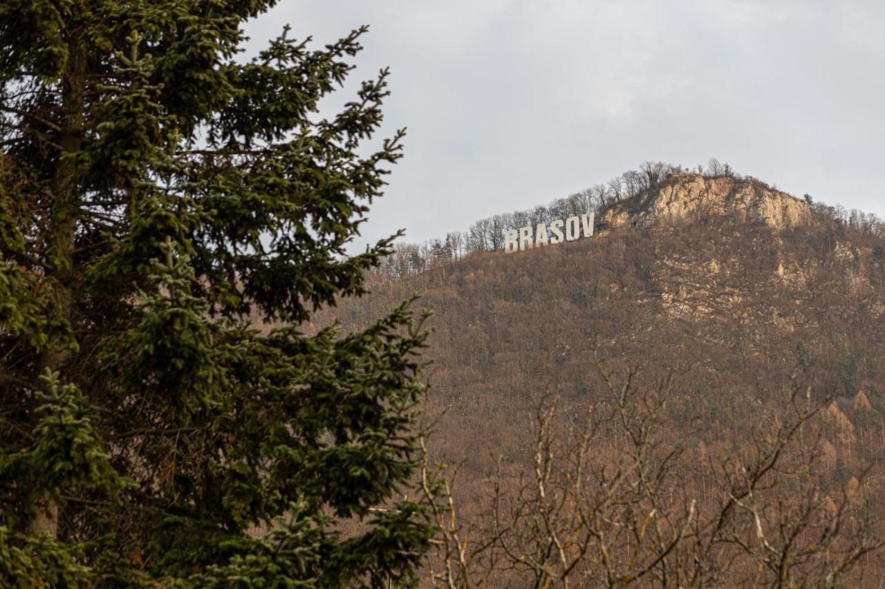 Richter Residence Braşov Buitenkant foto